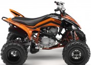 Yamaha YFM250R Yamaha YFM250R